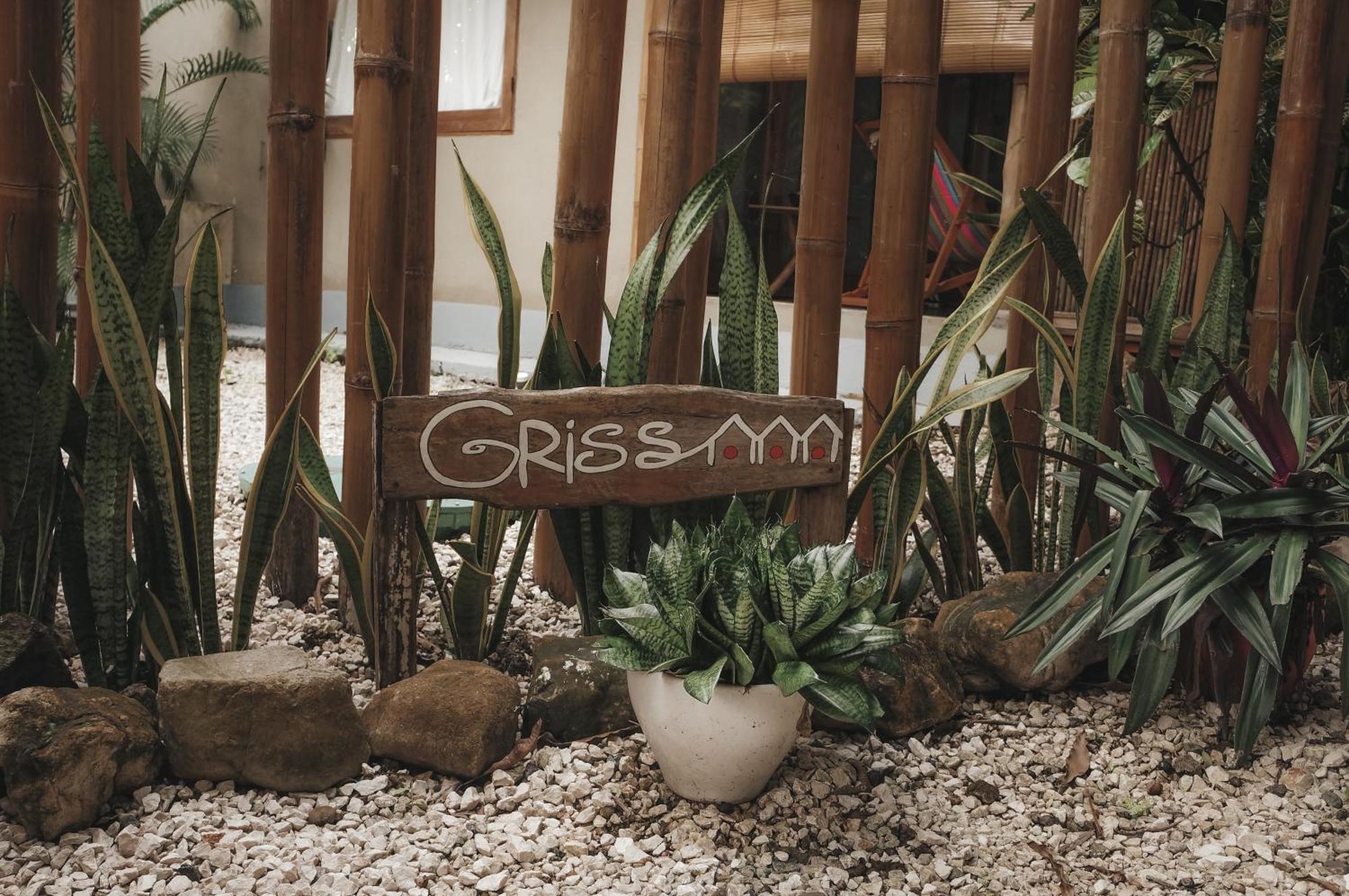 Griss Lodge & Spa Playa Santa Teresa  Exteriör bild