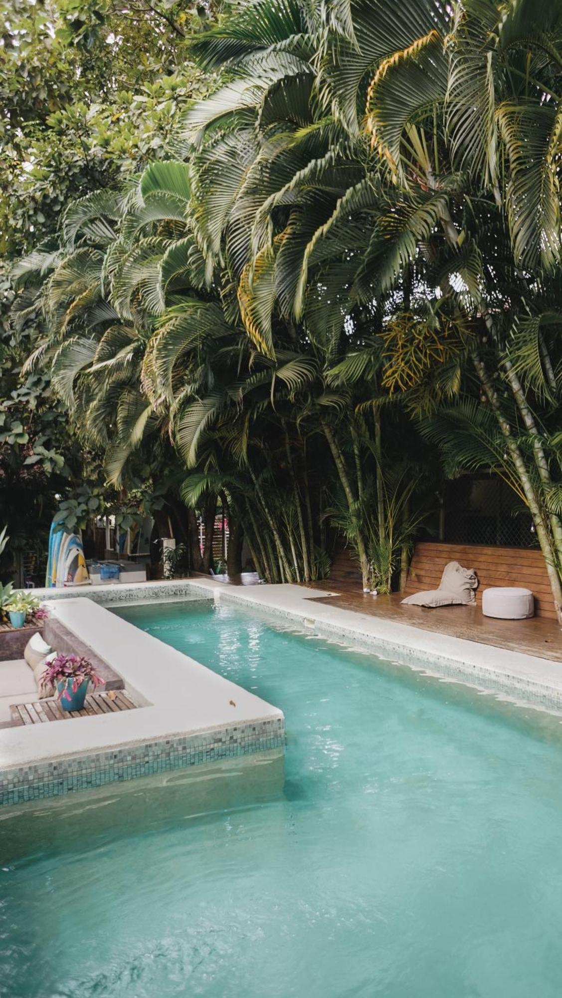 Griss Lodge & Spa Playa Santa Teresa  Exteriör bild